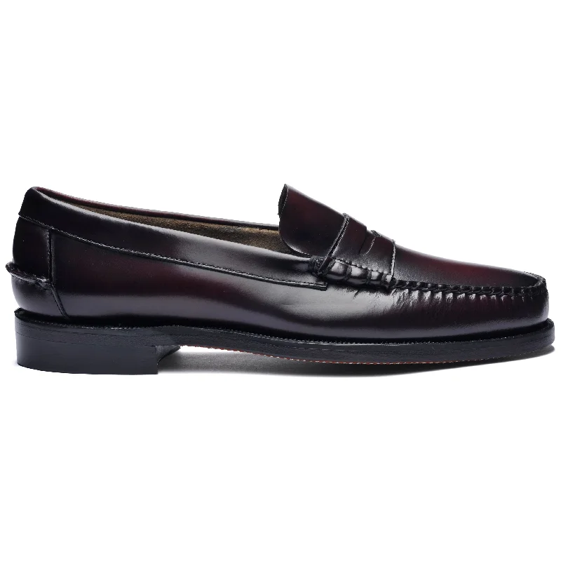 Men's loafers with a pointed toe for a stylish appearanceClassic Dan - Brown & Burgundy