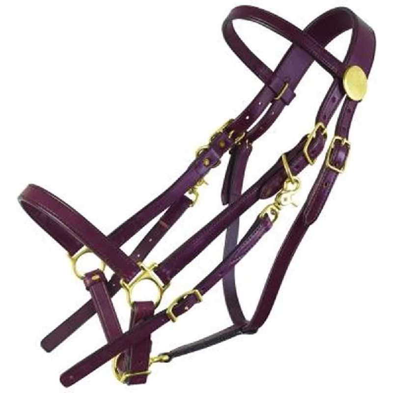 0114 Tucker Classic Standard Halter Bridle