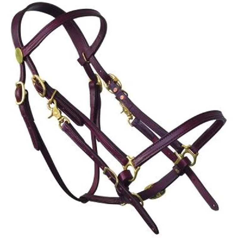 0317 Tucker Halter Bridle Lite – Horse Size