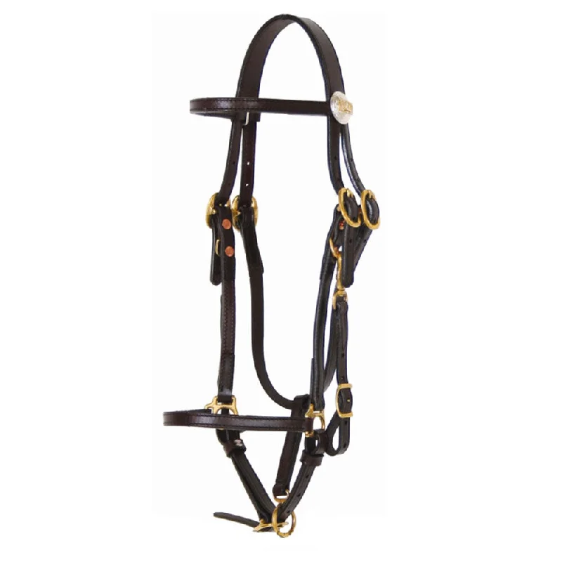 556 Tucker Logo Halter Bridle - Brown with Brass Horse Size